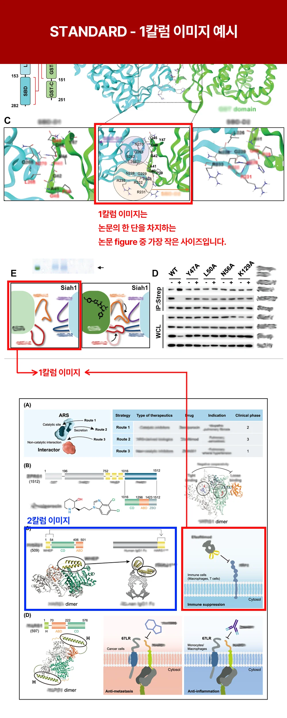 상세이미지-0