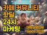 카페바이럴/핫딜/카페마케팅 도와드립니다.