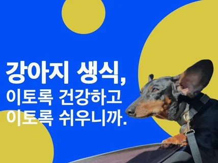 반려견 생식, 쉽고 건강하게 먹이는 노하우 공유합니다.