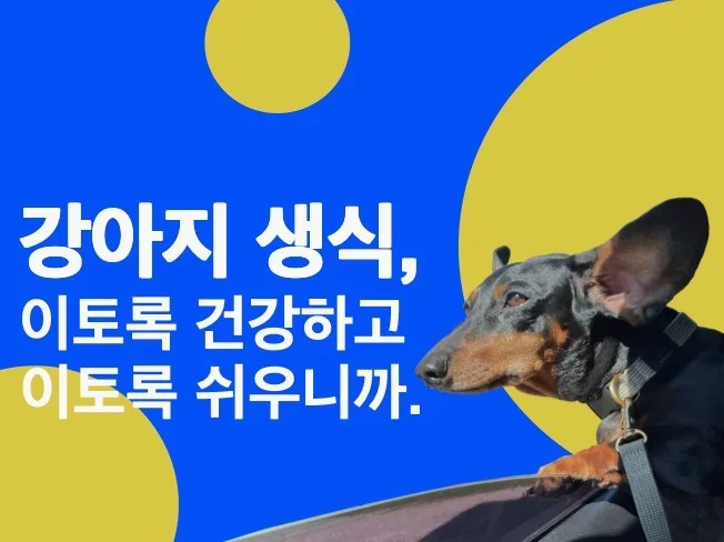 메인 이미지