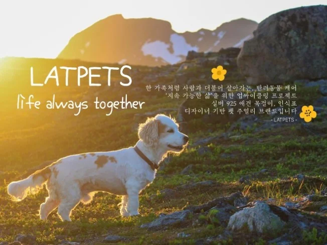메인 이미지