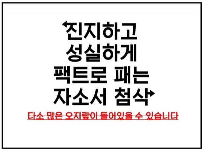 [현대 멘토] 자소서 첨삭 1개 회사, 신속하게 첨삭해 드립니다.