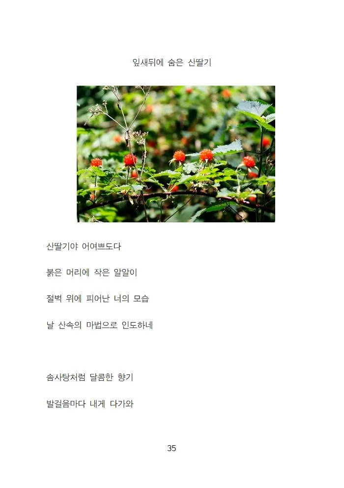 상세이미지-2