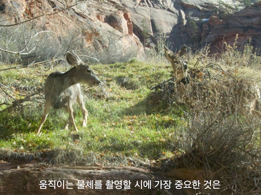 상세이미지-1