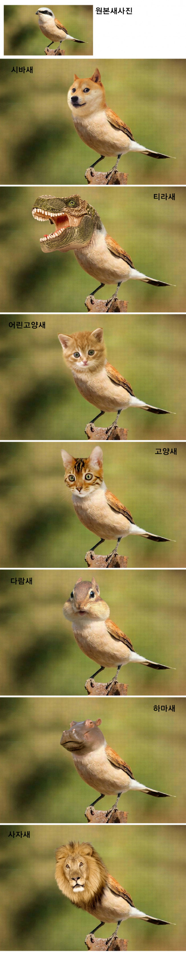상세이미지-1