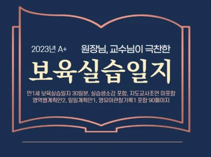 2023 A+ 보육실습일지-영역별,일일 계획안 포함