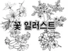 예쁜 꽃 그림 그립니다