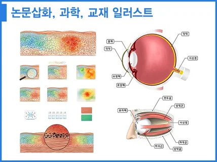 논문삽화 과학 교재 일러스트
