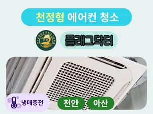 포트폴리오