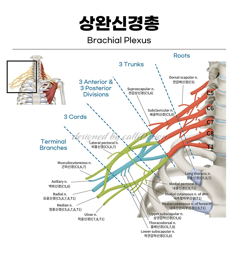 상세이미지-5