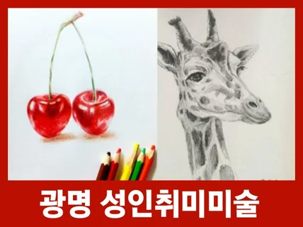 성인 취미 미술 기초 소묘그림 그리기