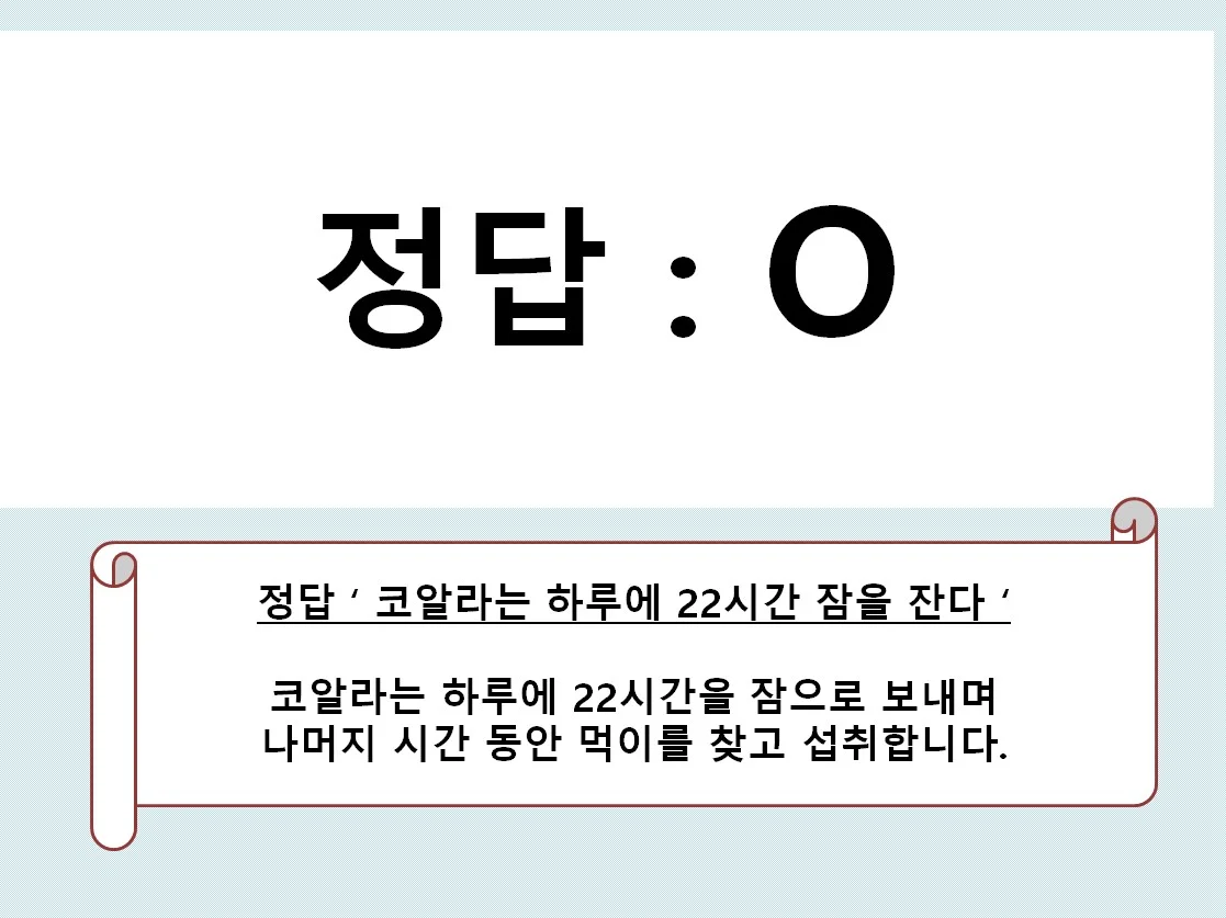 상세이미지-4