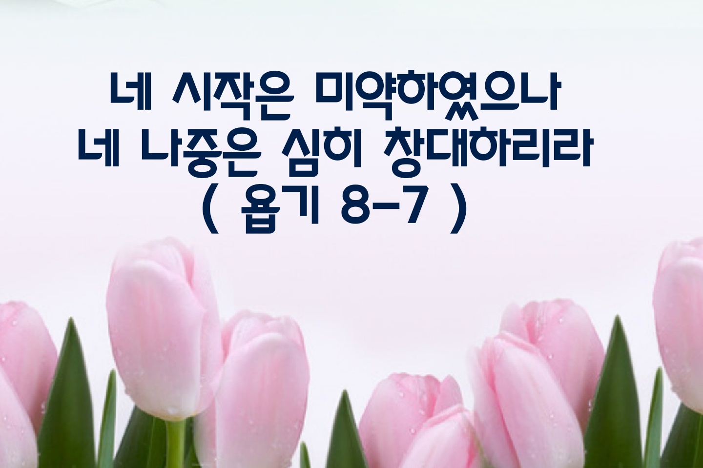 상세이미지-0