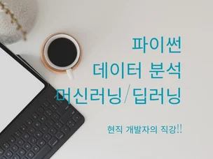 포트폴리오