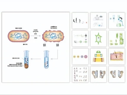 교재 일러스트 전문