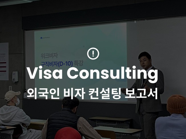 맞춤형 visa 비자 컨설팅 보고서 가이드라인 드립니다