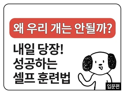 강아지 문제행동 실패없는 놀이교육으로 해결하세요