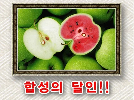 최고의 합성 다른곳에서 실패해도 맡겨주시면 살려 드립니다.