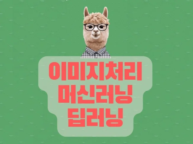 AI 솔루션 전문가의 필요성