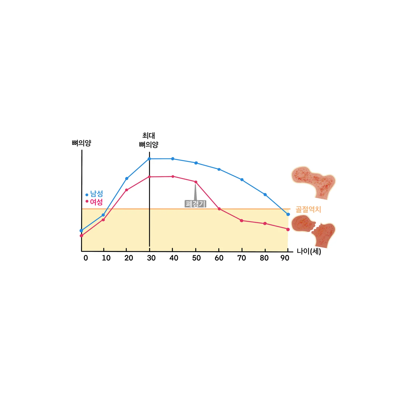 상세이미지-4