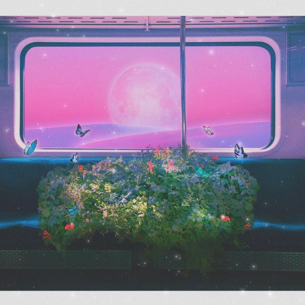 io2281704002935.jpg?w=715