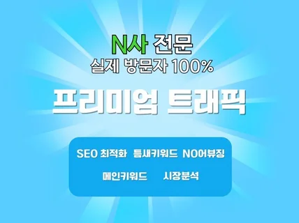 N사 쇼핑 프리미엄 트래픽 점수 전문