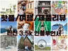 숏폼 릴스/클립/숏츠 만들어드리고 업로드해드립니다.