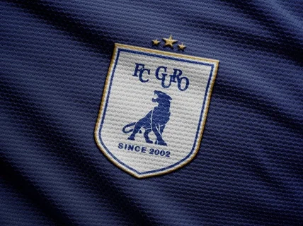 팀의 정체성을 담은 맞춤형 축구, 스포츠 엠블럼