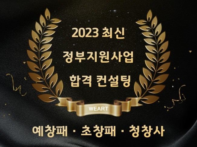 정부지원사업계획서 합격 컨설팅해 드립니다.