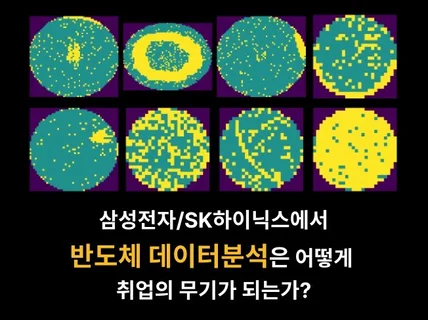 반도체 데이터분석으로 삼성/SK 취업 정복하기