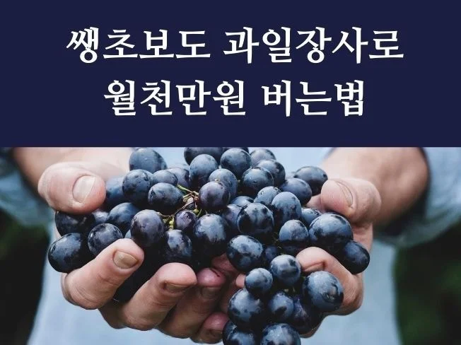 메인 이미지