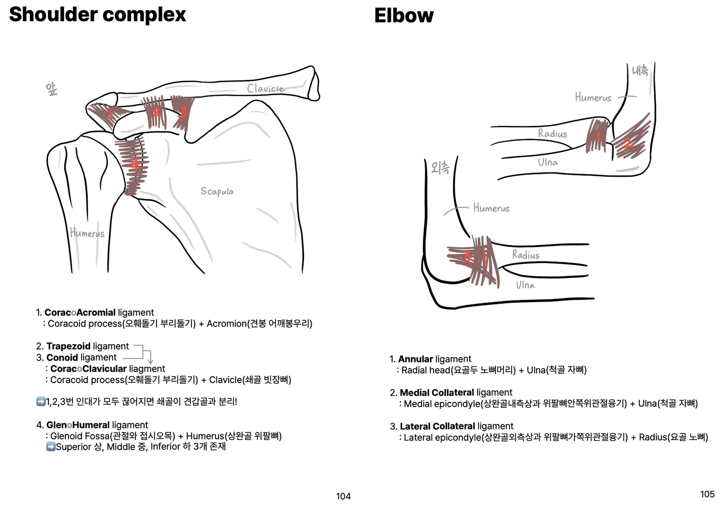 상세이미지-5