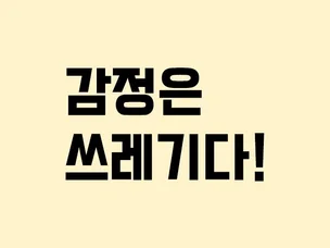 포트폴리오