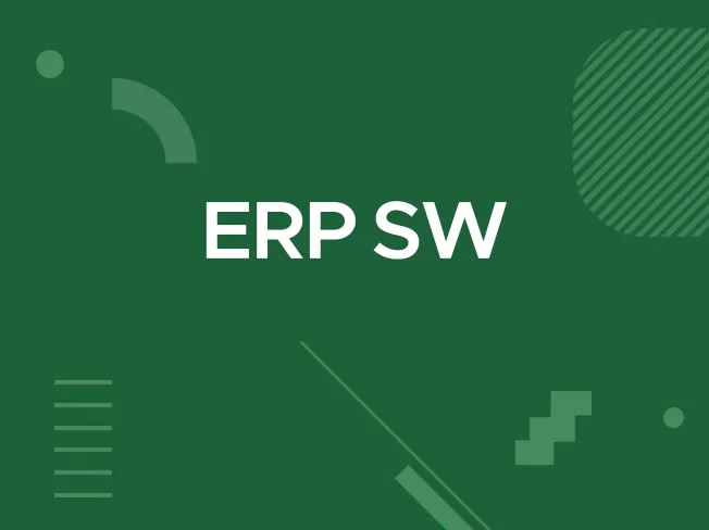 소프트웨어 개발, ERP 개발 서비스