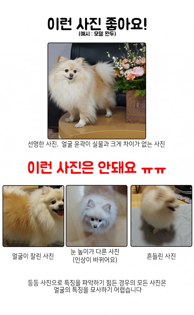 상세이미지-2