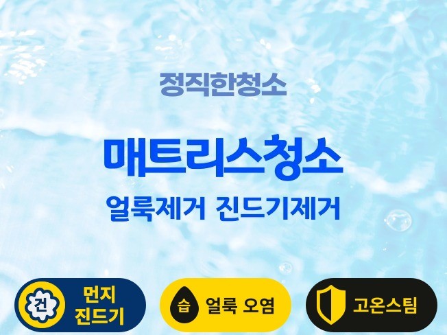 서울 경기북부 매트리스청소 얼룩제거 진드기 빈대 제거