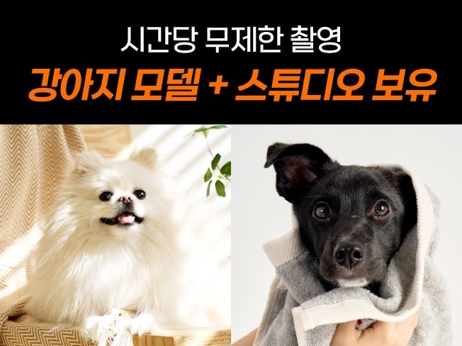 연관서비스
