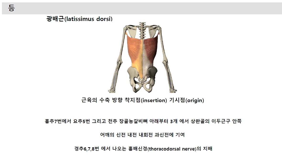 상세이미지-3