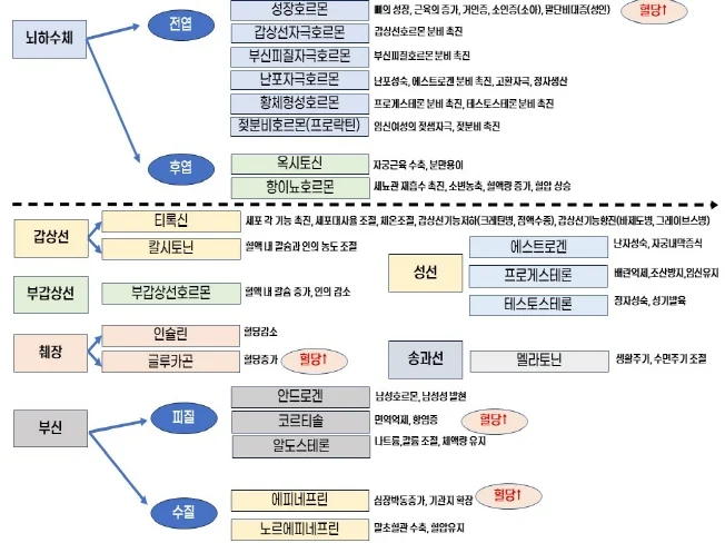 상세이미지-8