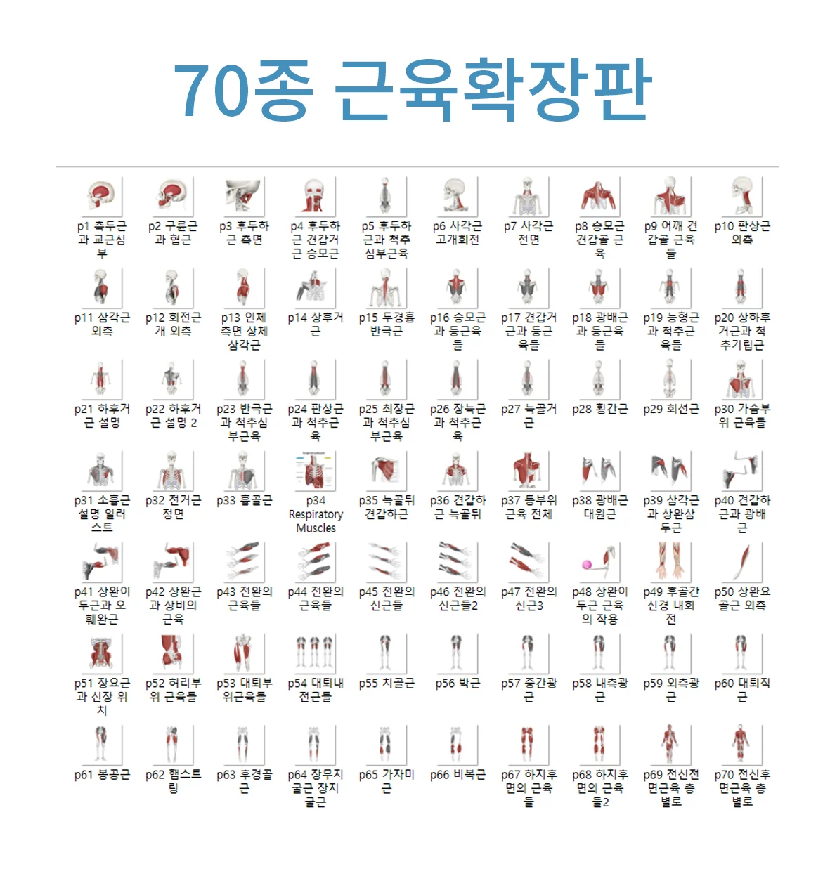 상세이미지-7