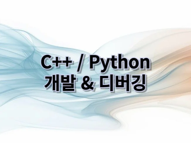 C++, Python 코드 구현, 리뷰 및 디버깅