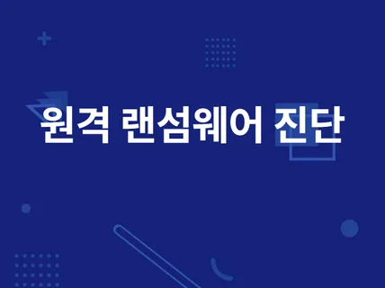 원격 랜섬웨어 진단 / 보안 취약점 진단