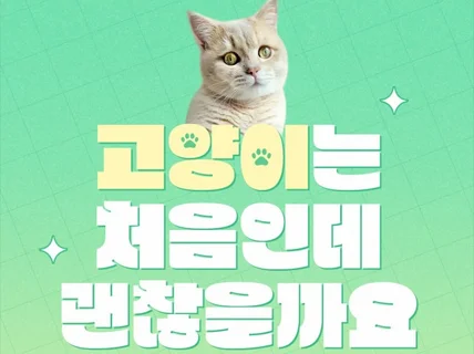 고양이는처음인데괜찮을까요