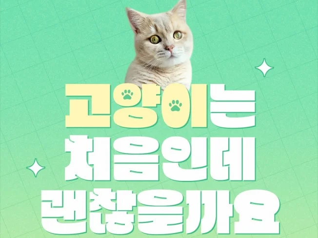 메인 이미지