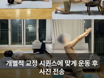 온라인 - 평생 써먹는 척추측만 체형 교정 PT