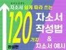 자소서 쉽게 따라 쓰는 120가지 작성법 자소서예시