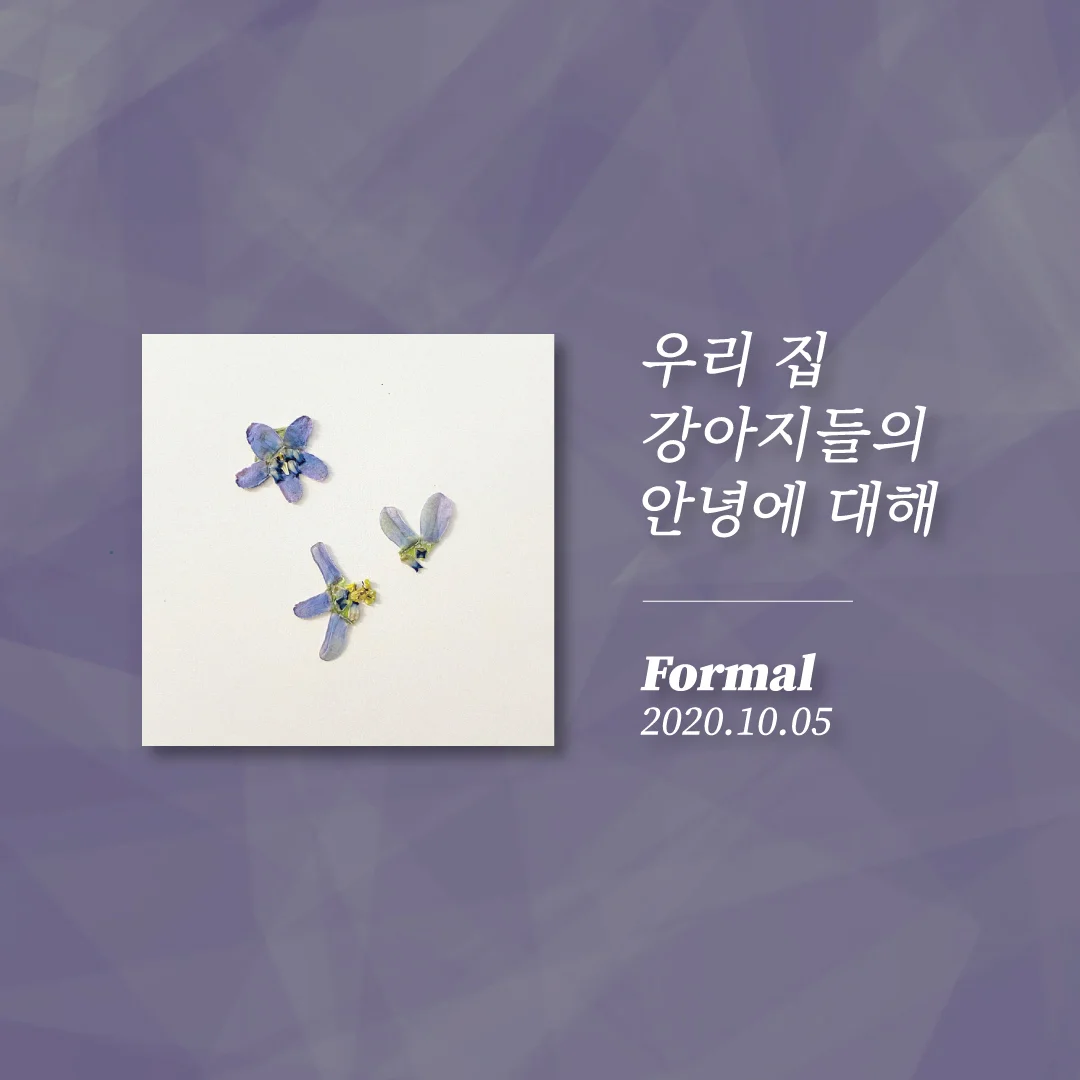 상세이미지-9