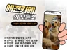애견카페 창업 및 운영의 모든것을 알려 드립니다.