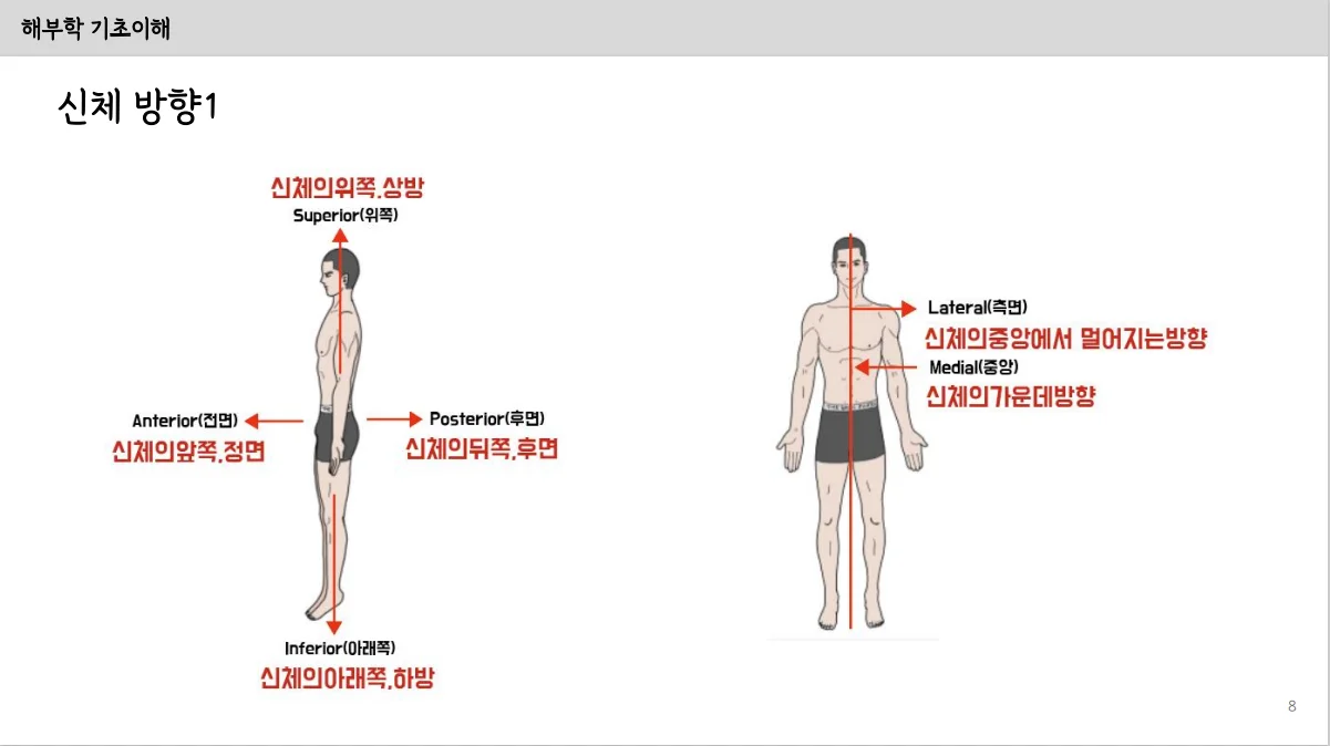 상세이미지-3