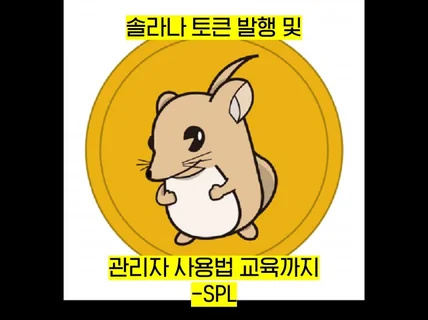 솔라나 토큰 발행 + 관리자 사용법 안내까지